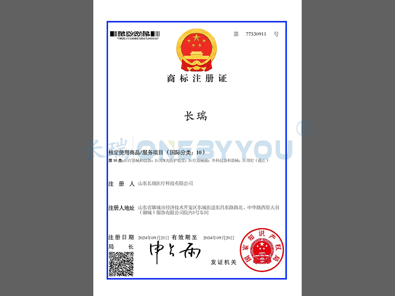 长瑞 10 商标